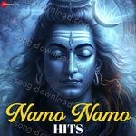 Namo Namo Hits - Stebin Ben Song Download